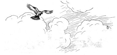 drawing from article, hawk flying below clouds