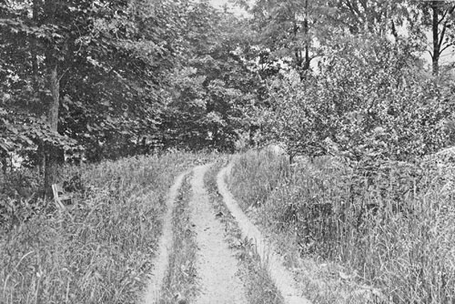 WOODPATH WOODPATH