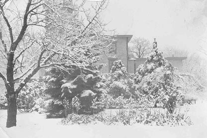 Linden Lodge in the snow