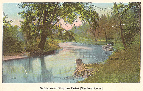 Postcard titled 'Scene near Shippan Point'