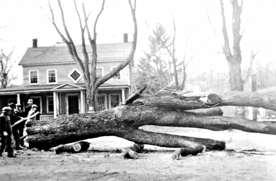 Across the street, a tree came down. Elbert Jones fourth from the left